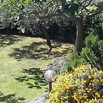 Bed & Breakfast L'albero Di Antonia Atri
