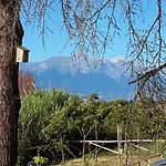 L'albero Di Antonia Atri