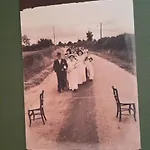 L'albero Di Antonia