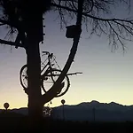 L'albero Di Antonia Atri