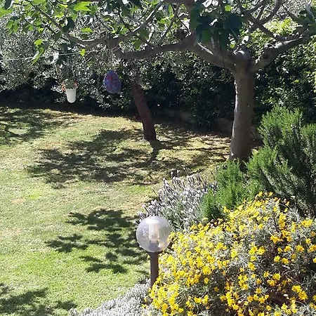Alojamento de Acomodação e Pequeno-almoço L'albero Di Antonia Atri