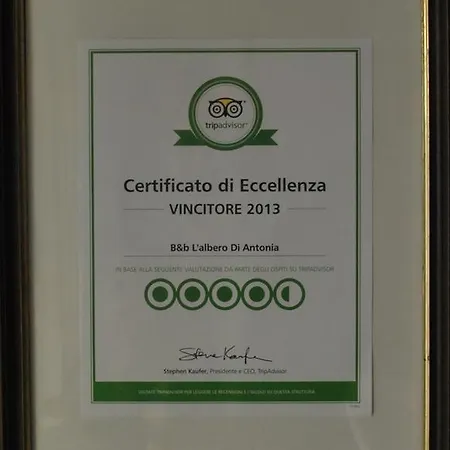 Bed and Breakfast L'albero Di Antonia