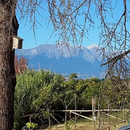 L'albero Di Antonia אטרי