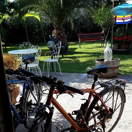 Alojamento de Acomodação e Pequeno-almoço L'albero Di Antonia 3*
