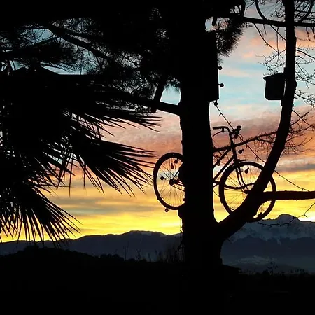 Bed & Breakfast L'albero Di Antonia