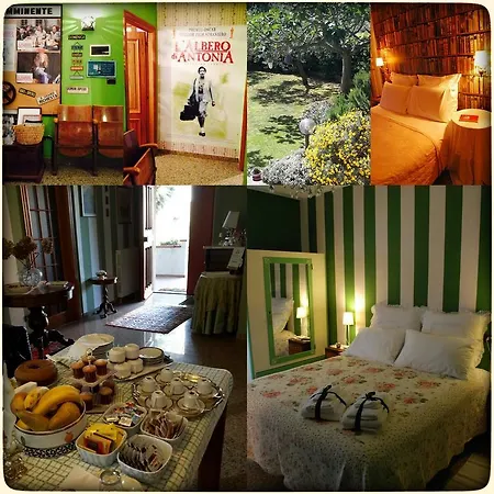 Bed and Breakfast L'albero Di Antonia 3*
