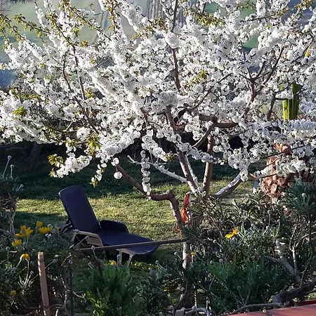 L'albero Di Antonia 3* אטרי