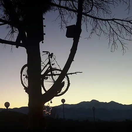 L'albero Di Antonia אטרי