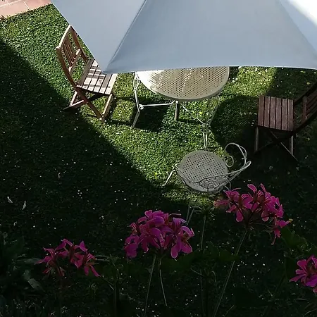 L'albero Di Antonia Bed and Breakfast Atri