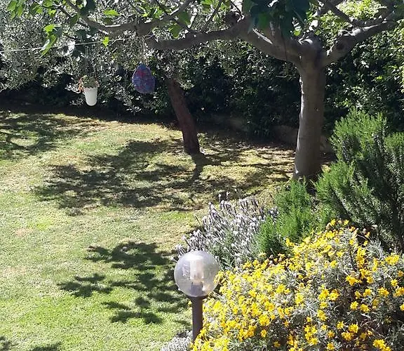 Frühstückspension L'albero Di Antonia Atri