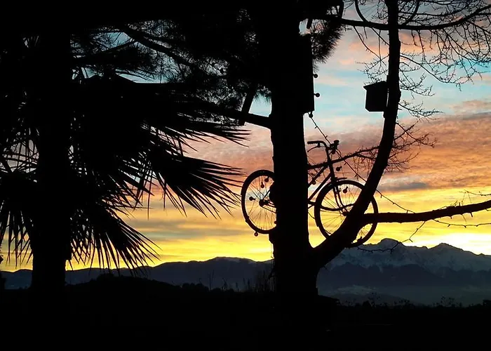 Frühstückspension L'albero Di Antonia