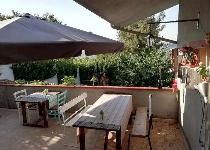 L'albero Di Antonia Atri