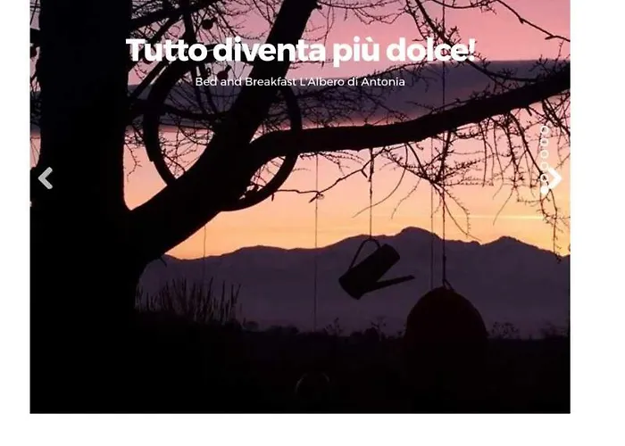 L'albero Di Antonia Frühstückspension 3*